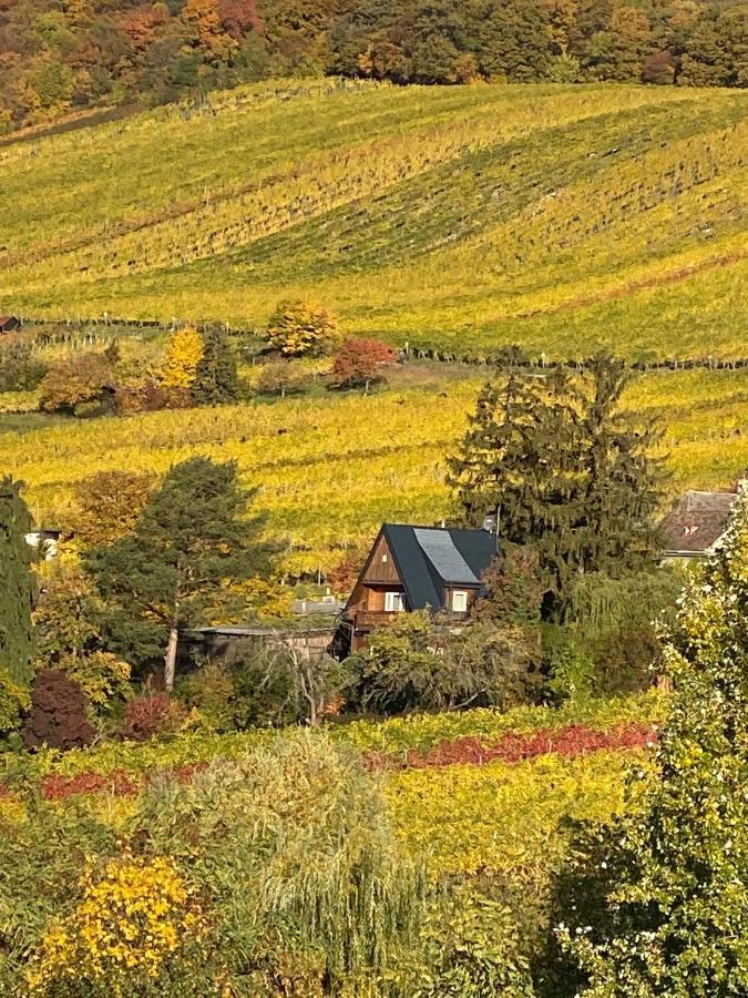 Casa vacanze Vacationhome In The Vineyards *