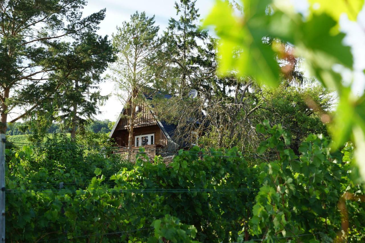Vacationhome In The Vineyards Casa vacanze